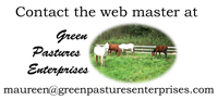 Green Pastures Enterprises Web Design
