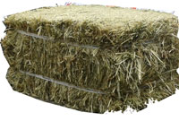 hay